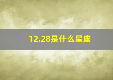 12.28是什么星座