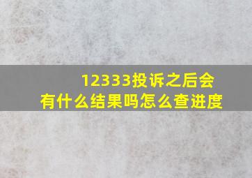 12333投诉之后会有什么结果吗怎么查进度