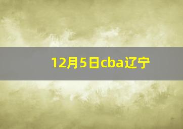 12月5日cba辽宁