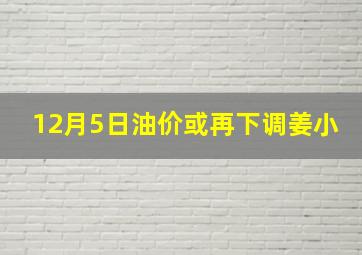 12月5日油价或再下调姜小