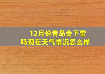 12月份青岛会下雪吗现在天气情况怎么样