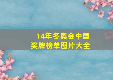 14年冬奥会中国奖牌榜单图片大全