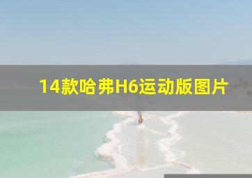 14款哈弗H6运动版图片