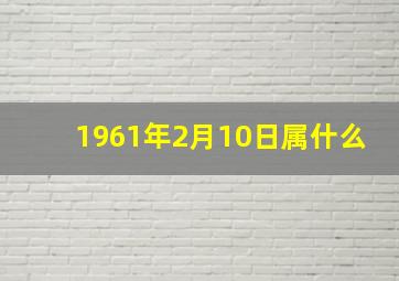 1961年2月10日属什么