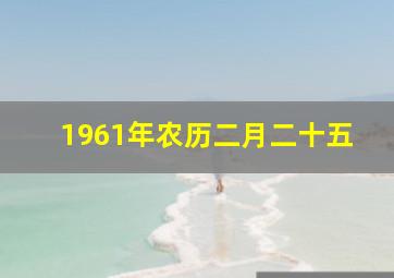 1961年农历二月二十五