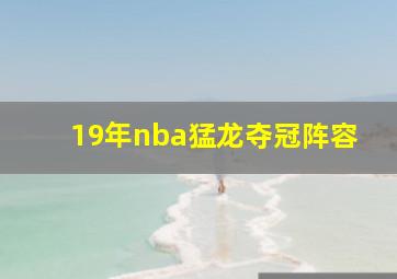 19年nba猛龙夺冠阵容