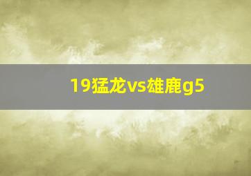 19猛龙vs雄鹿g5