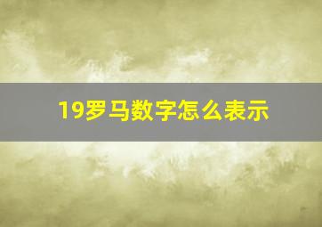 19罗马数字怎么表示