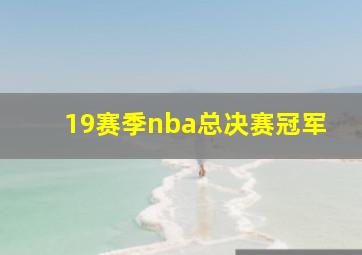 19赛季nba总决赛冠军