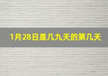 1月28日是几九天的第几天