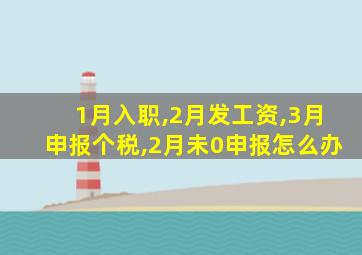 1月入职,2月发工资,3月申报个税,2月未0申报怎么办