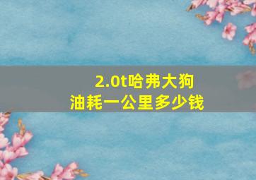 2.0t哈弗大狗油耗一公里多少钱