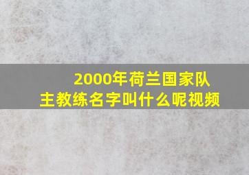 2000年荷兰国家队主教练名字叫什么呢视频