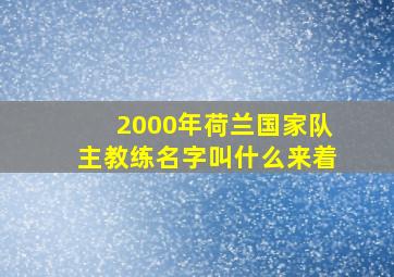 2000年荷兰国家队主教练名字叫什么来着