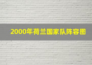 2000年荷兰国家队阵容图