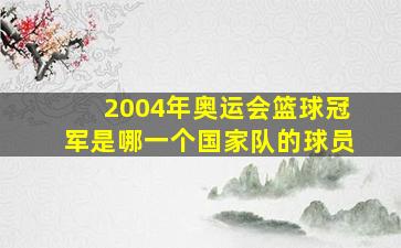 2004年奥运会篮球冠军是哪一个国家队的球员