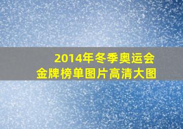 2014年冬季奥运会金牌榜单图片高清大图