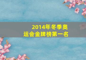 2014年冬季奥运会金牌榜第一名