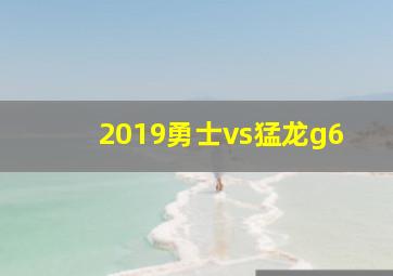 2019勇士vs猛龙g6