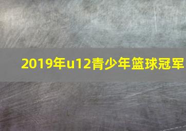 2019年u12青少年篮球冠军