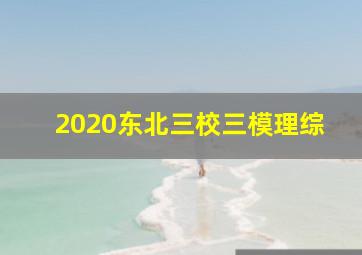 2020东北三校三模理综