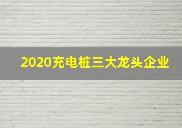 2020充电桩三大龙头企业