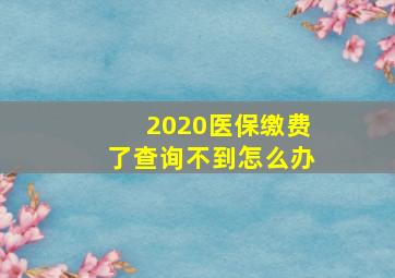 2020医保缴费了查询不到怎么办