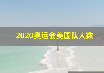 2020奥运会美国队人数