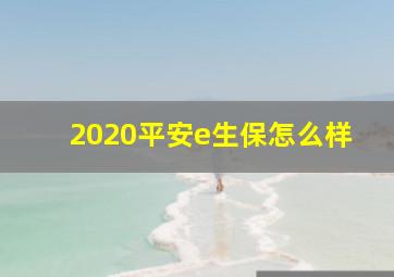 2020平安e生保怎么样