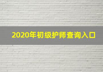 2020年初级护师查询入口