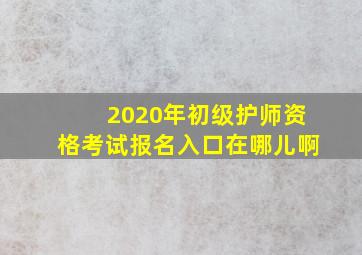 2020年初级护师资格考试报名入口在哪儿啊