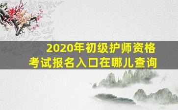 2020年初级护师资格考试报名入口在哪儿查询