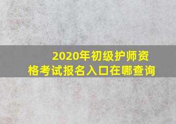 2020年初级护师资格考试报名入口在哪查询