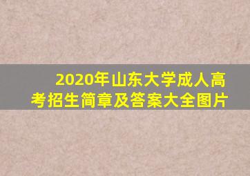 2020年山东大学成人高考招生简章及答案大全图片