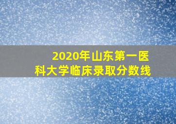 2020年山东第一医科大学临床录取分数线