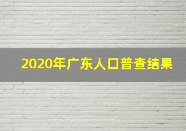 2020年广东人口普查结果