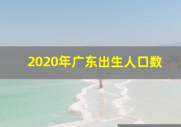 2020年广东出生人口数