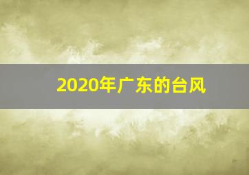 2020年广东的台风