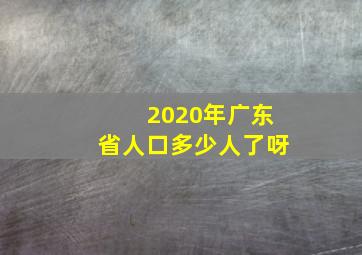 2020年广东省人口多少人了呀