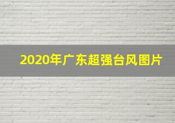 2020年广东超强台风图片