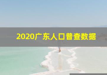 2020广东人口普查数据