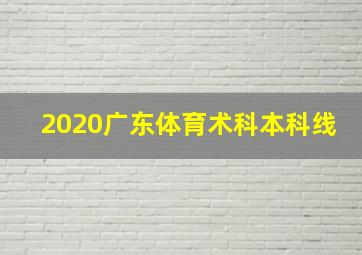 2020广东体育术科本科线