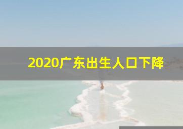 2020广东出生人口下降