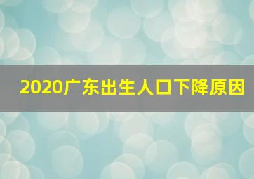 2020广东出生人口下降原因