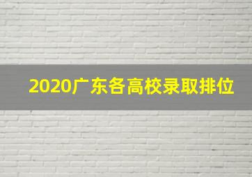 2020广东各高校录取排位