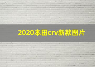 2020本田crv新款图片