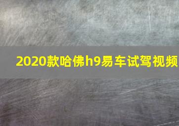 2020款哈佛h9易车试驾视频