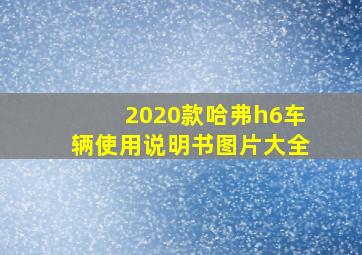 2020款哈弗h6车辆使用说明书图片大全