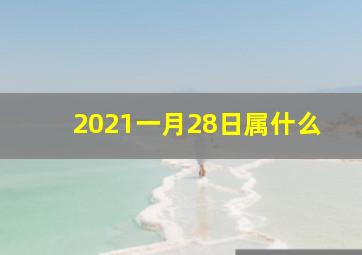 2021一月28日属什么