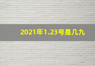 2021年1.23号是几九